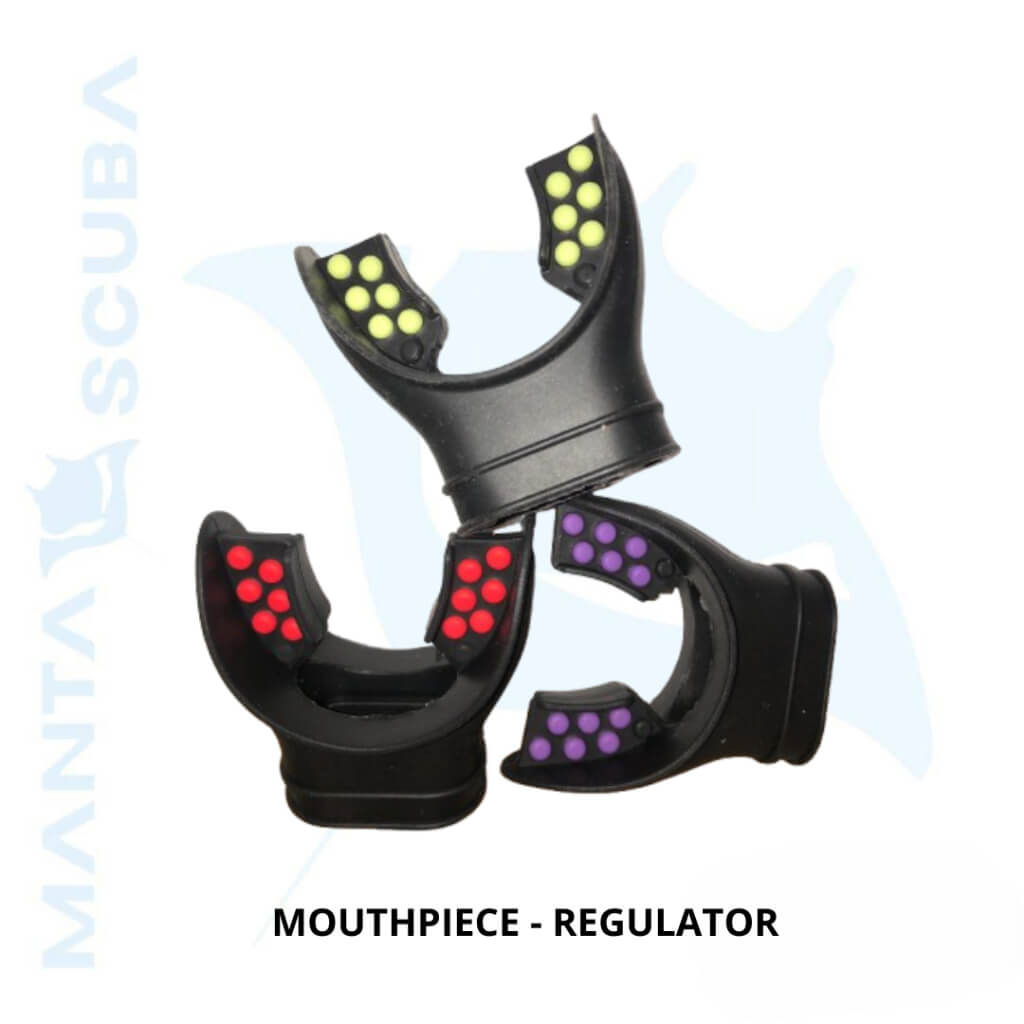 Mouthpiece For Regulator